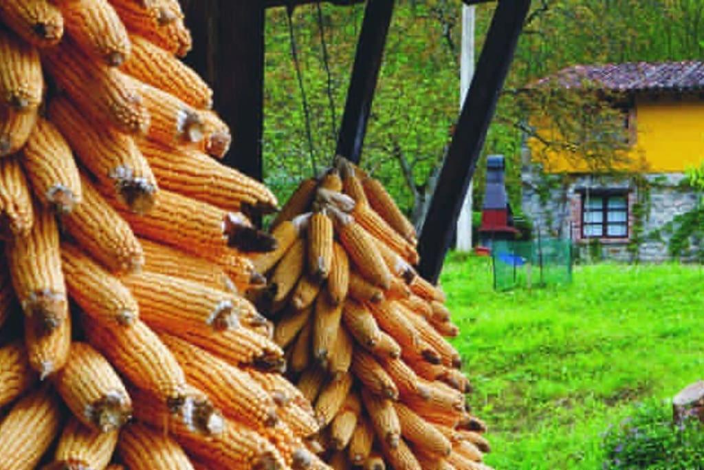 La Rotella, Calma Al Lado De Cangas De Onis Ngoại thất bức ảnh
